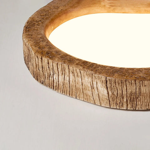 Ceiling Light - Soft Ambient Glow