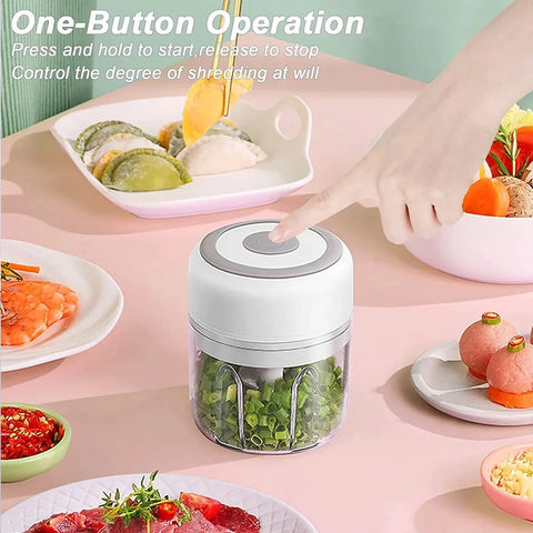 Electric Garlic Chopper