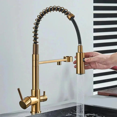 Pull-Down Kitchen Faucet 3-Way Filter
