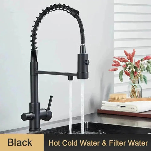 Pull-Down Kitchen Faucet 3-Way Filter